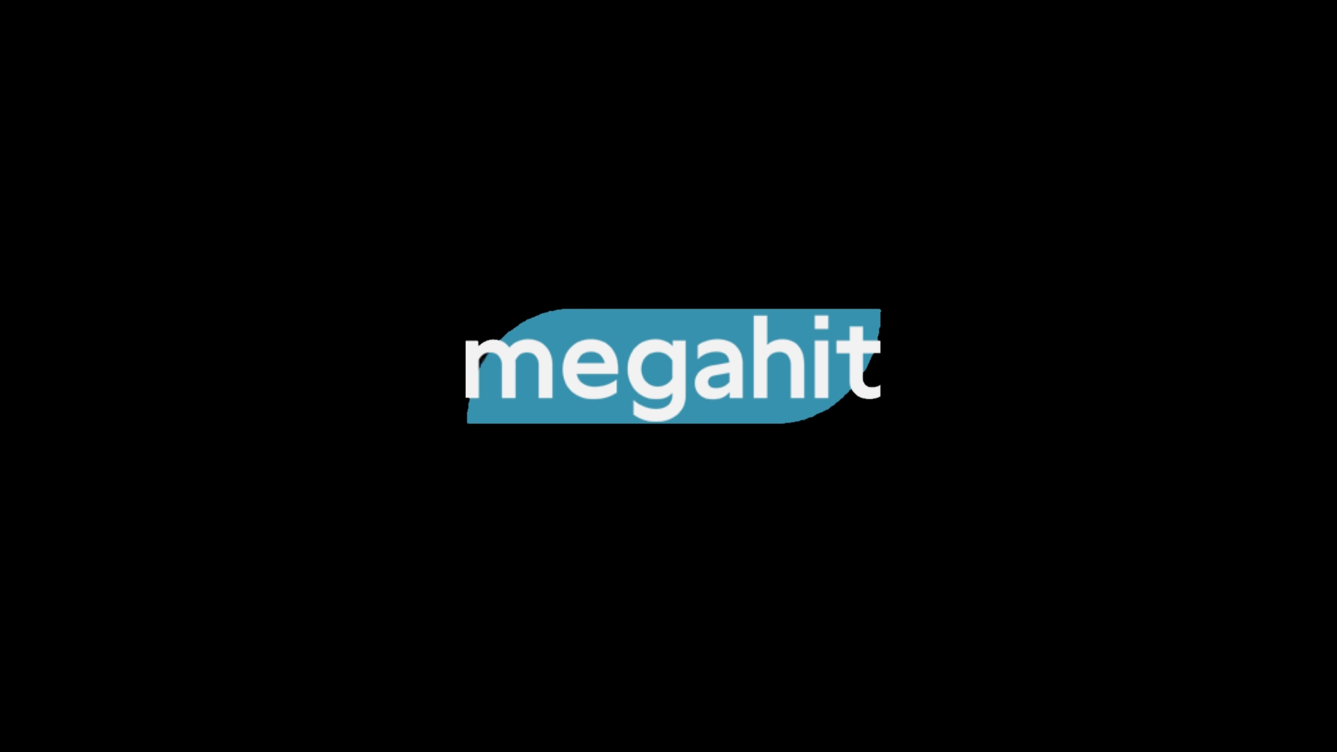 MEGAHIT