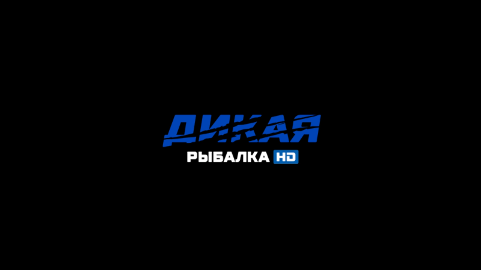 охота и рыбалка