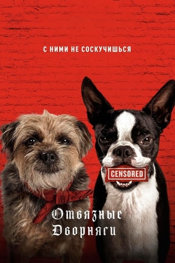 Смотреть Отвязные дворняги online прямой эфир в качестве FULL HD Strays