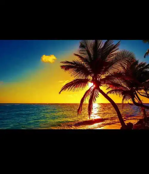 Tropical Shores (0)